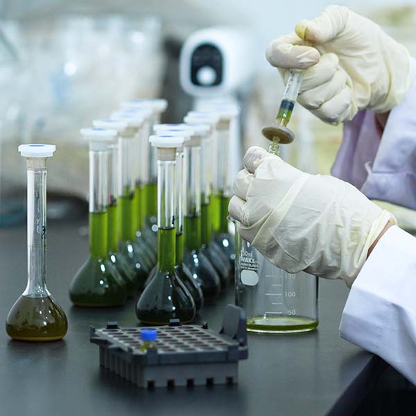 lab23.jpg